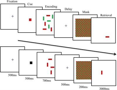 Investigating the Potential Role of Ecological Validity on Change-Detection Memory Tasks and Distractor Processing in Younger and Older Adults